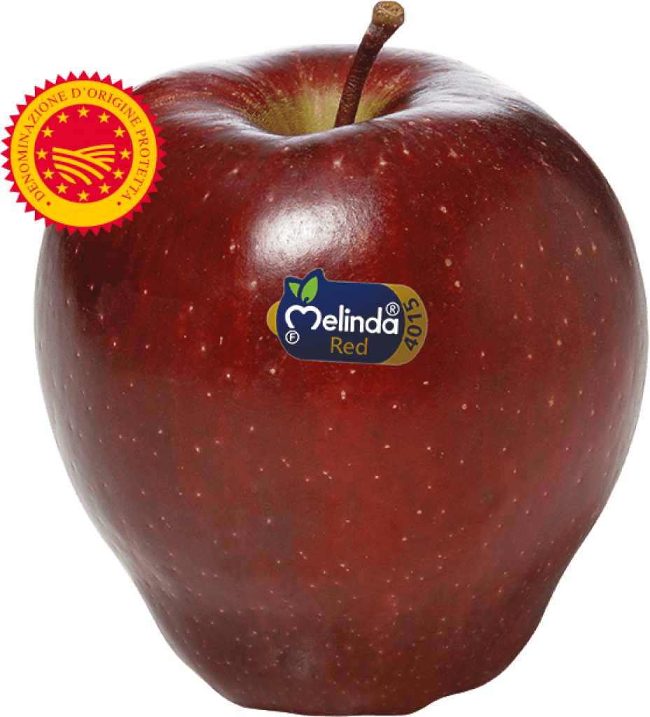 Mela Red Delicious Melinda DOP della Val di Non in Trentino