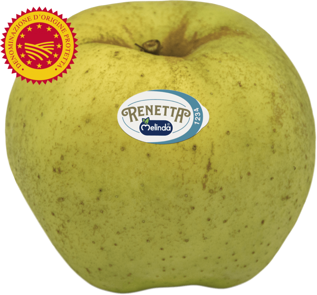 Mela Melinda DOP della Val di Non in Trentino
