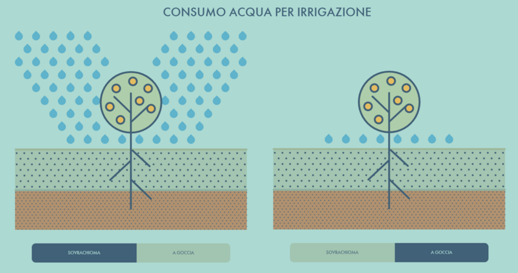 infografica blog consumo acqua