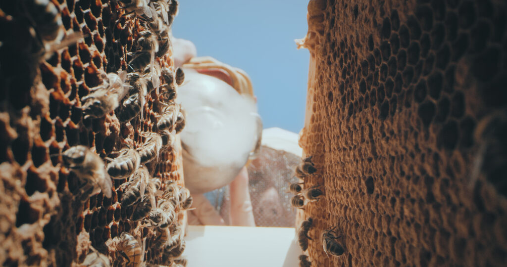 3.Fioritura Api 2020 DM