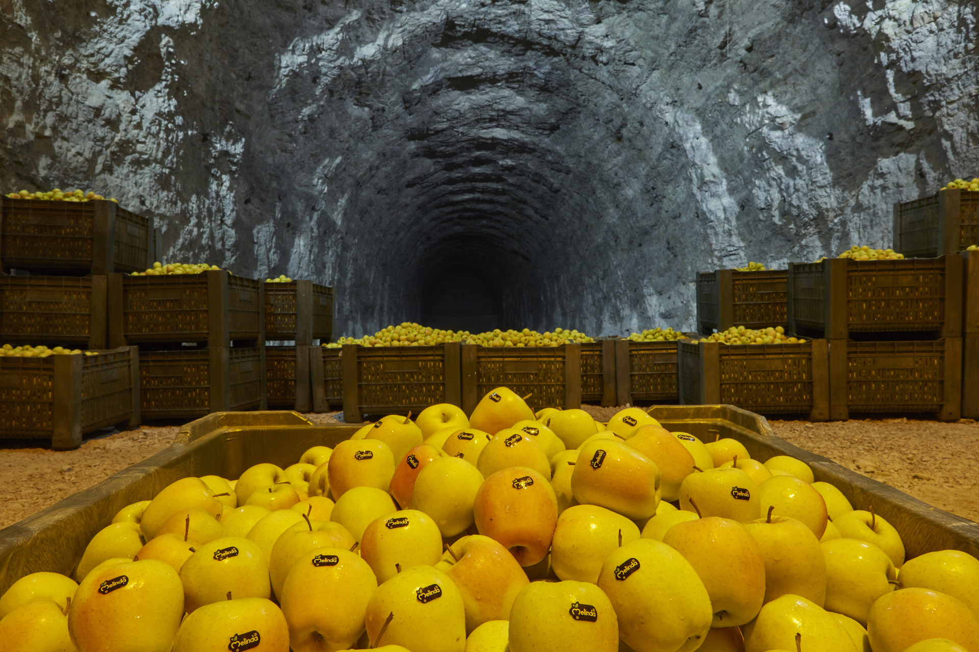 visita celle e percorso mele