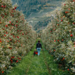 Val DiSole autunno 2025 38218