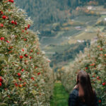 Val DiSole autunno 2025 38224